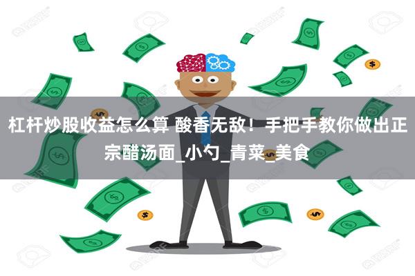杠杆炒股收益怎么算 酸香无敌！手把手教你做出正宗醋汤面_小勺_青菜_美食
