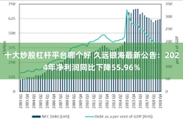 十大炒股杠杆平台哪个好 久远银海最新公告：2024年净利润同比下降55.96%