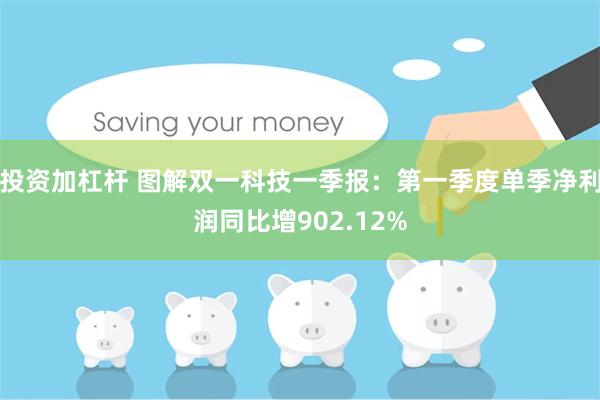 投资加杠杆 图解双一科技一季报：第一季度单季净利润同比增902.12%