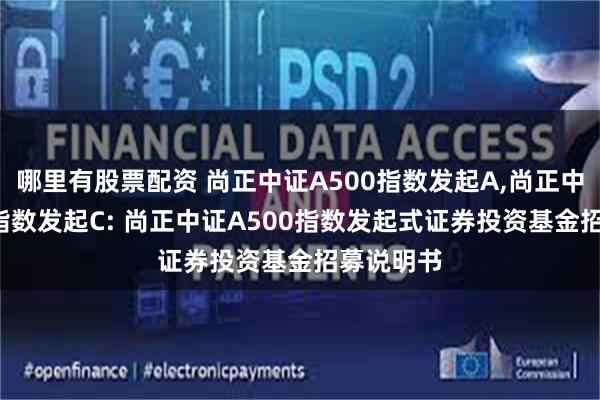 哪里有股票配资 尚正中证A500指数发起A,尚正中证A500指数发起C: 尚正中证A500指数发起式证券投资基金招募说明书