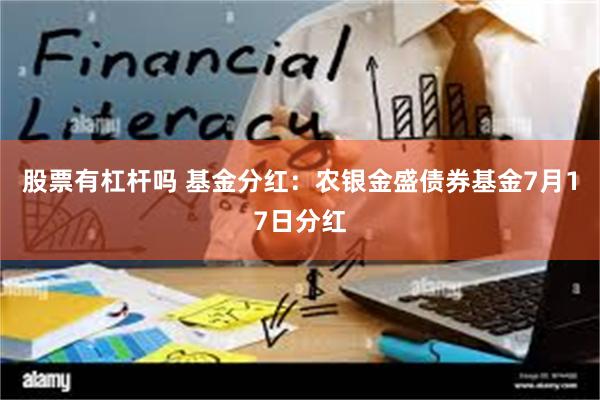 股票有杠杆吗 基金分红：农银金盛债券基金7月17日分红