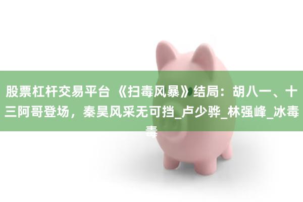 股票杠杆交易平台 《扫毒风暴》结局：胡八一、十三阿哥登场，秦昊风采无可挡_卢少骅_林强峰_冰毒