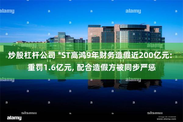 炒股杠杆公司 *ST高鸿9年财务造假近200亿元: 重罚1.6亿元, 配合造假方被同步严惩