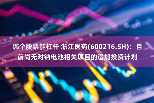 哪个股票能杠杆 浙江医药(600216.SH)：目前尚无对钠电池相关项目的追加投资计划
