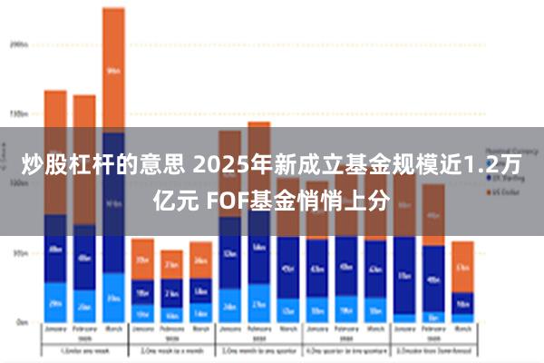 炒股杠杆的意思 2025年新成立基金规模近1.2万亿元 FOF基金悄悄上分