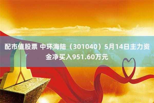 配市值股票 中环海陆（301040）5月14日主力资金净买入951.60万元