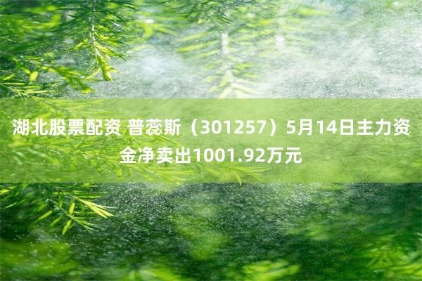 湖北股票配资 普蕊斯（301257）5月14日主力资金净卖出1001.92万元