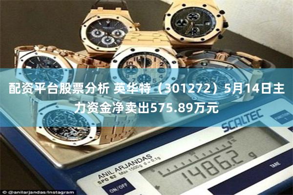 配资平台股票分析 英华特（301272）5月14日主力资金净卖出575.89万元