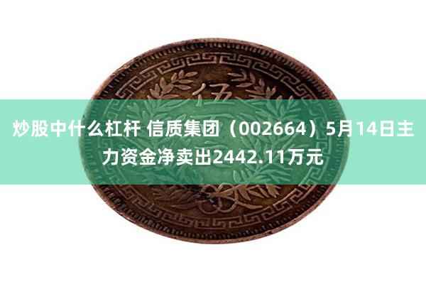 炒股中什么杠杆 信质集团（002664）5月14日主力资金净卖出2442.11万元