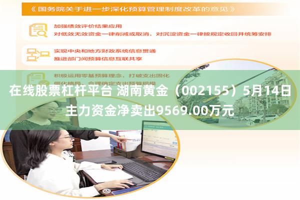 在线股票杠杆平台 湖南黄金（002155）5月14日主力资金净卖出9569.00万元