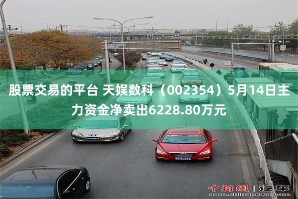 股票交易的平台 天娱数科（002354）5月14日主力资金净卖出6228.80万元
