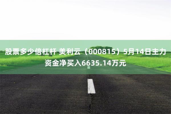 股票多少倍杠杆 美利云（000815）5月14日主力资金净买入6635.14万元