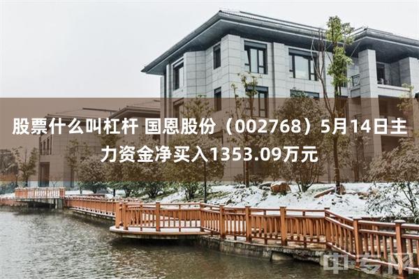 股票什么叫杠杆 国恩股份（002768）5月14日主力资金净买入1353.09万元
