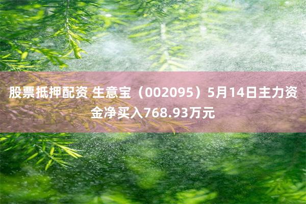 股票抵押配资 生意宝（002095）5月14日主力资金净买入768.93万元