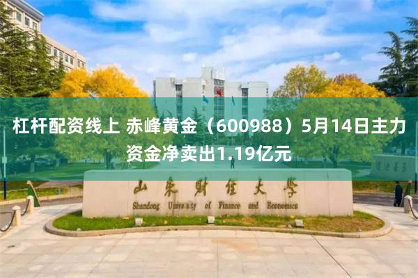 杠杆配资线上 赤峰黄金（600988）5月14日主力资金净卖出1.19亿元