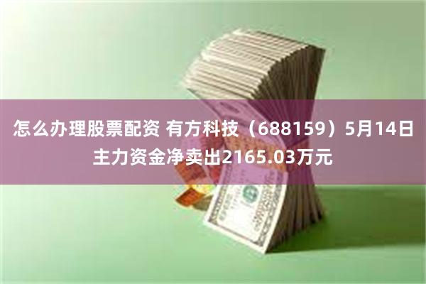 怎么办理股票配资 有方科技（688159）5月14日主力资金净卖出2165.03万元