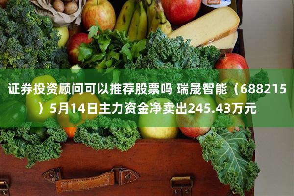 证券投资顾问可以推荐股票吗 瑞晟智能（688215）5月14日主力资金净卖出245.43万元