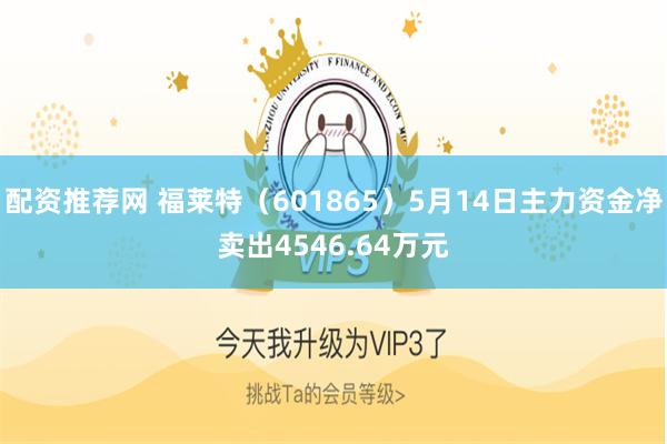 配资推荐网 福莱特（601865）5月14日主力资金净卖出4546.64万元