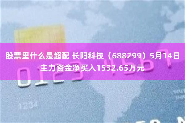 股票里什么是超配 长阳科技（688299）5月14日主力资金净买入1532.65万元