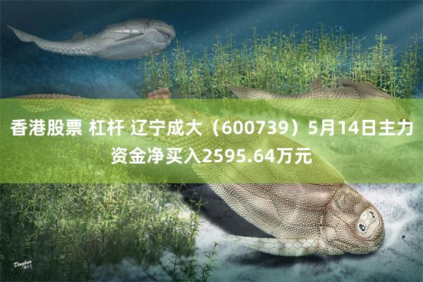 香港股票 杠杆 辽宁成大（600739）5月14日主力资金净买入2595.64万元