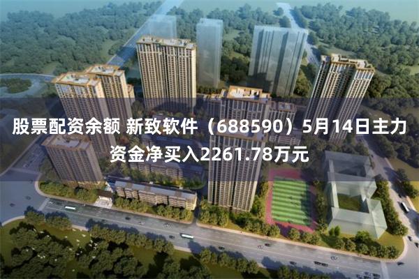 股票配资余额 新致软件（688590）5月14日主力资金净买入2261.78万元