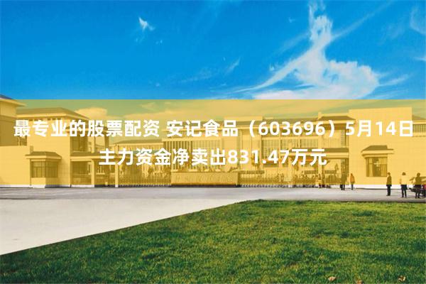 最专业的股票配资 安记食品（603696）5月14日主力资金净卖出831.47万元