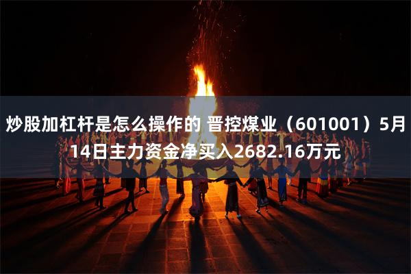 炒股加杠杆是怎么操作的 晋控煤业（601001）5月14日主力资金净买入2682.16万元