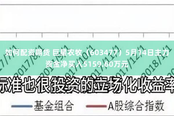 如何配资期货 巨星农牧（603477）5月14日主力资金净买入5159.60万元