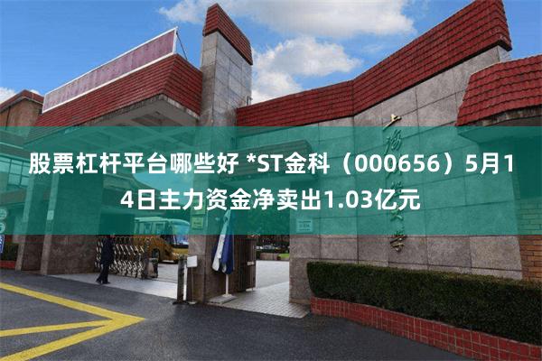 股票杠杆平台哪些好 *ST金科（000656）5月14日主力资金净卖出1.03亿元
