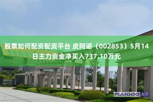 股票如何配资配资平台 皮阿诺（002853）5月14日主力资金净买入737.10万元