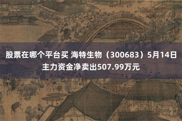 股票在哪个平台买 海特生物（300683）5月14日主力资金净卖出507.99万元