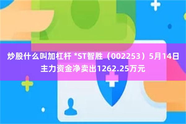 炒股什么叫加杠杆 *ST智胜（002253）5月14日主力资金净卖出1262.25万元