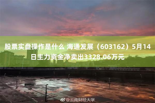 股票实盘操作是什么 海通发展（603162）5月14日主力资金净卖出3328.06万元