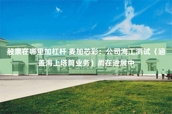 股票在哪里加杠杆 麦加芯彩：公司海工测试（涵盖海上塔筒业务）尚在进展中