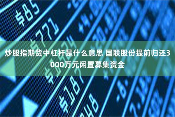炒股指期货中杠杆是什么意思 国联股份提前归还3000万元闲置募集资金