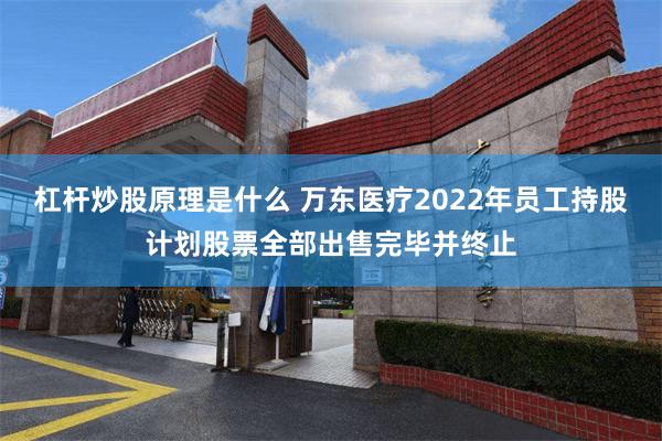 杠杆炒股原理是什么 万东医疗2022年员工持股计划股票全部出售完毕并终止