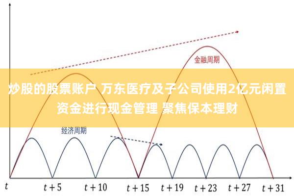 炒股的股票账户 万东医疗及子公司使用2亿元闲置资金进行现金管理 聚焦保本理财