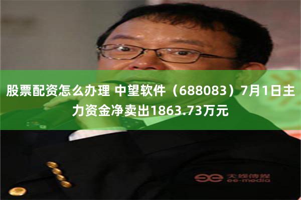 股票配资怎么办理 中望软件（688083）7月1日主力资金净卖出1863.73万元