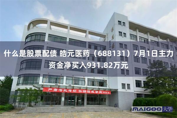 什么是股票配债 皓元医药（688131）7月1日主力资金净买入931.82万元