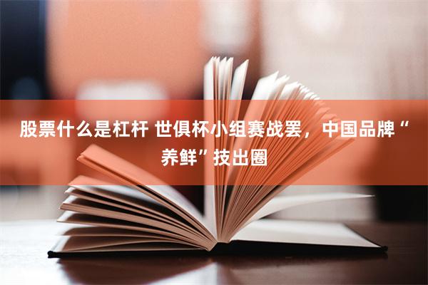股票什么是杠杆 世俱杯小组赛战罢，中国品牌“养鲜”技出圈
