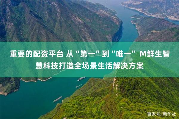 重要的配资平台 从“第一”到“唯一” M鲜生智慧科技打造全场景生活解决方案