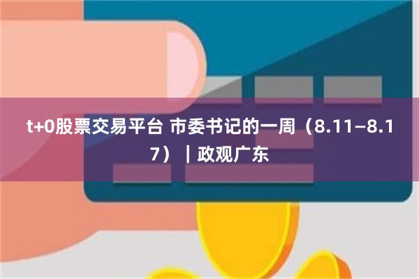 t+0股票交易平台 市委书记的一周（8.11—8.17）｜政观广东