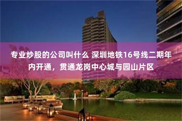 专业炒股的公司叫什么 深圳地铁16号线二期年内开通，贯通龙岗中心城与园山片区