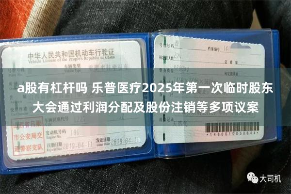 a股有杠杆吗 乐普医疗2025年第一次临时股东大会通过利润分配及股份注销等多项议案