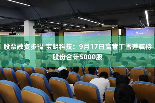 股票融资步骤 宝明科技：9月17日高管丁雪莲减持股份合计5000股