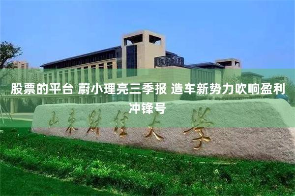 股票的平台 蔚小理亮三季报 造车新势力吹响盈利冲锋号