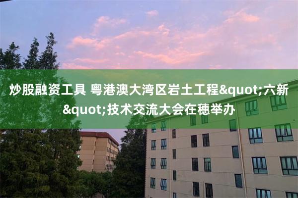 炒股融资工具 粤港澳大湾区岩土工程"六新"技术交流大会在穗举办