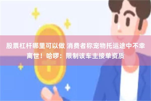 股票杠杆哪里可以做 消费者称宠物托运途中不幸离世!哈啰:限制该车主接单资质