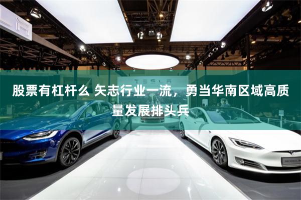 股票有杠杆么 矢志行业一流,勇当华南区域高质量发展排头兵