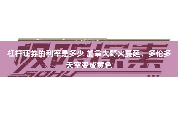 杠杆证券的利率是多少 加拿大野火蔓延，多伦多天空变成黄色